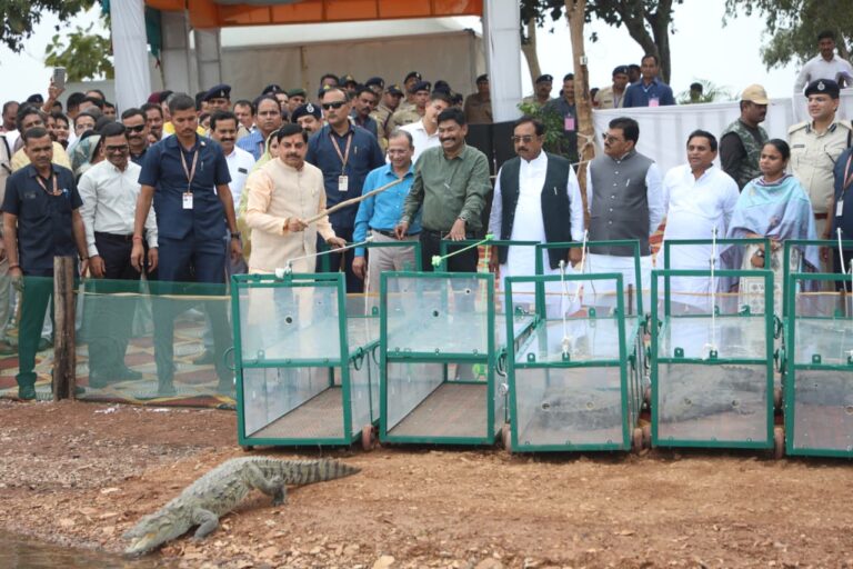 9879001a-bda4-4ed6-af18-8c1d18762c7b