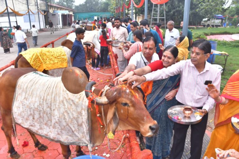 e4f427a1-2f59-4e48-8aa2-7ee9ff6286d3