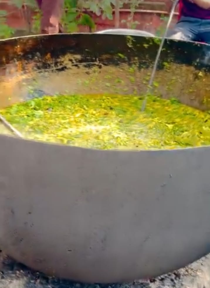 d772d919-f72c-4ab2-a427-1d11fcb6895b