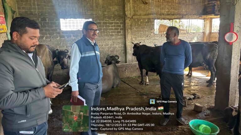 WhatsApp Image 2025-12-19 at 6.40.43 PM