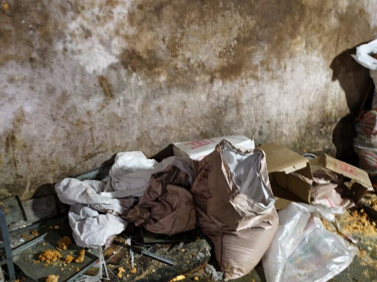 WhatsApp Image 2025-12-26 at 5.34.46 PM