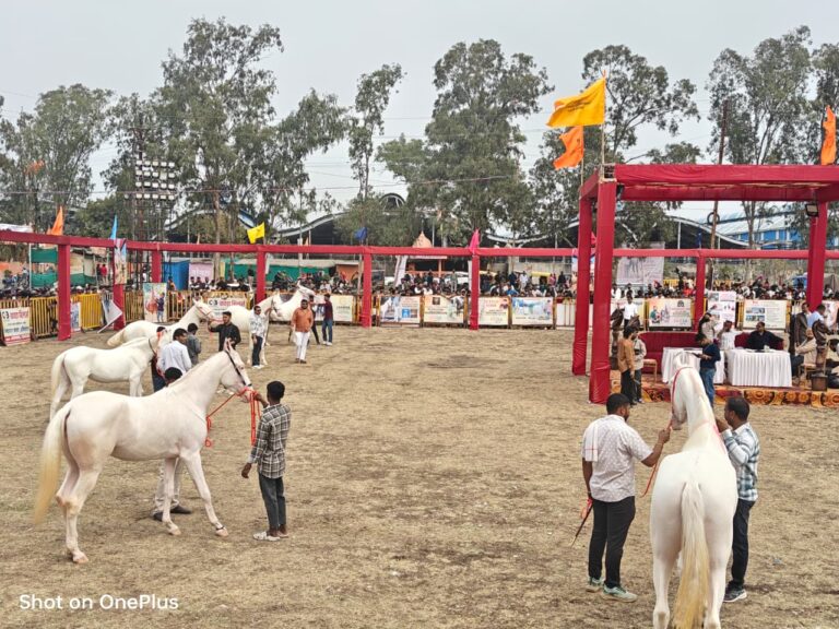 c8b17b8c-0606-4246-9ae4-5043917bd962