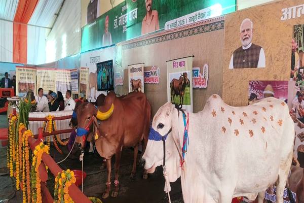 TN5-Bhopal110126060539