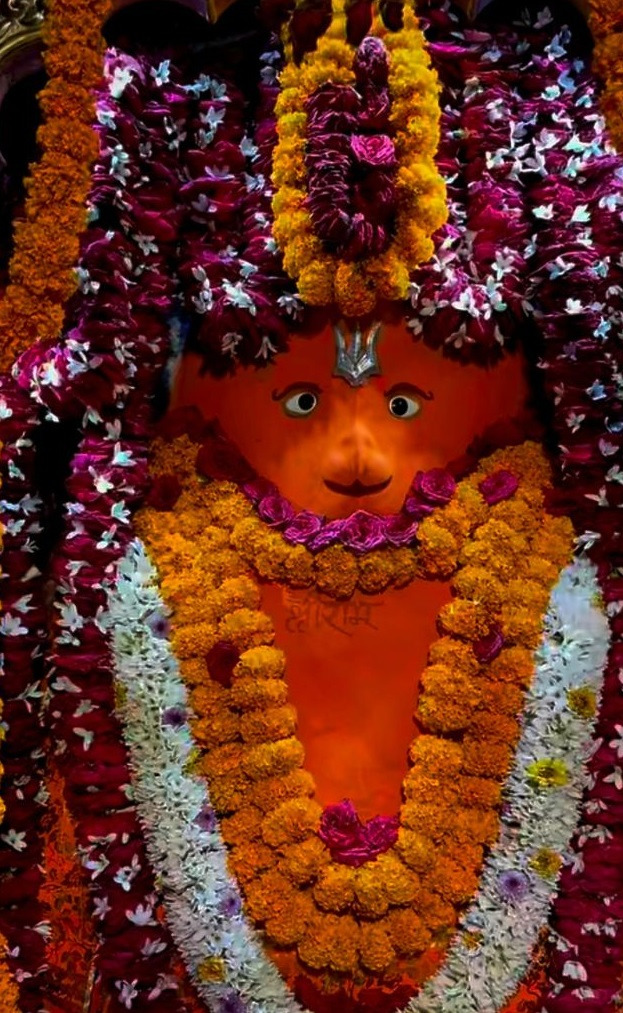 WhatsApp Image 2026-01-20 at 7.08.05 PM