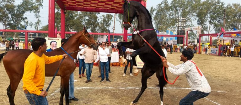 WhatsApp Image 2026-01-25 at 4.58.25 PM