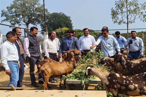 TN5-Bhopal090226061011