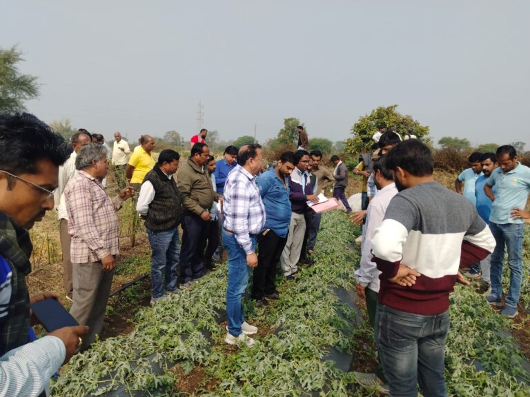 WhatsApp Image 2026-02-04 at 6.35.41 PM