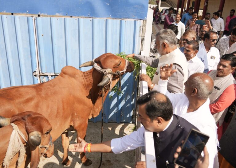 WhatsApp Image 2026-02-08 at 7.46.39 PM (1)