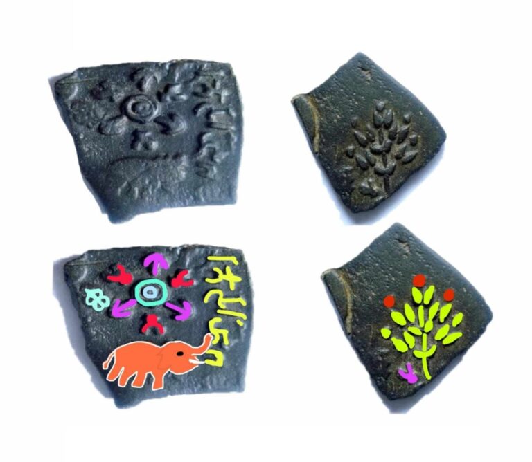 WhatsApp Image 2026-02-09 at 7.07.29 PM