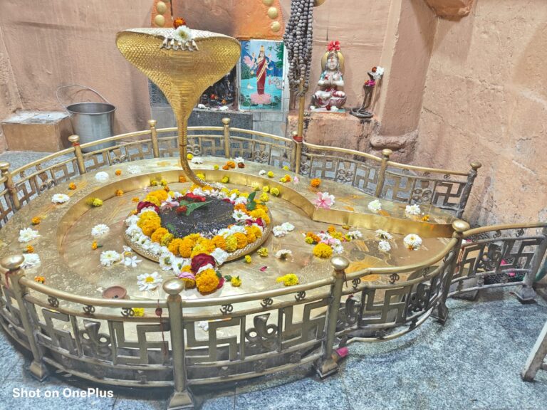 WhatsApp Image 2026-02-14 at 12.33.22 PM