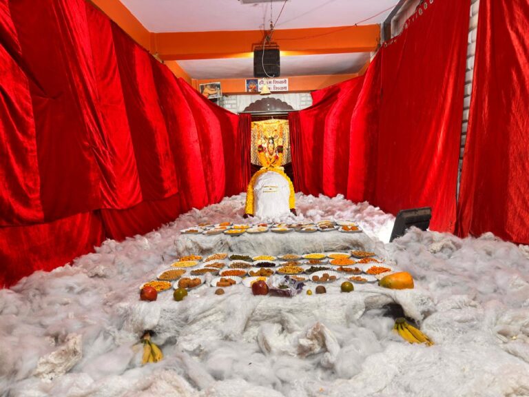 WhatsApp Image 2026-02-15 at 7.55.31 PM