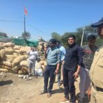 WhatsApp Image 2026-03-05 at 7.27.19 PM (1)