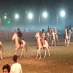 TN5-Bhopal020426080146