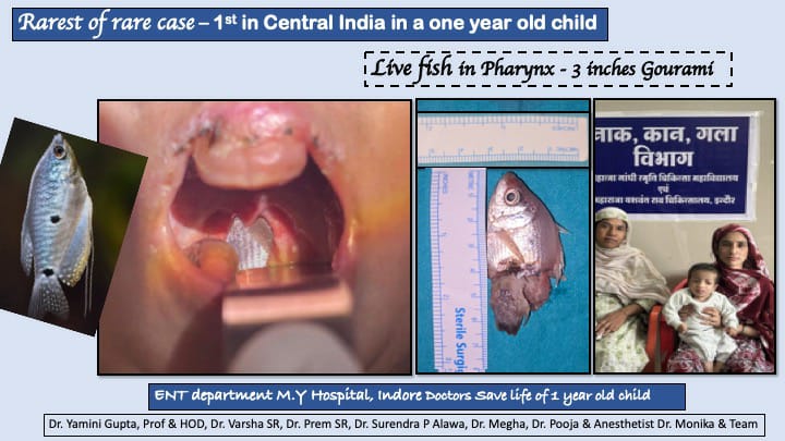 WhatsApp Image 2026-04-08 at 2.31.27 PM