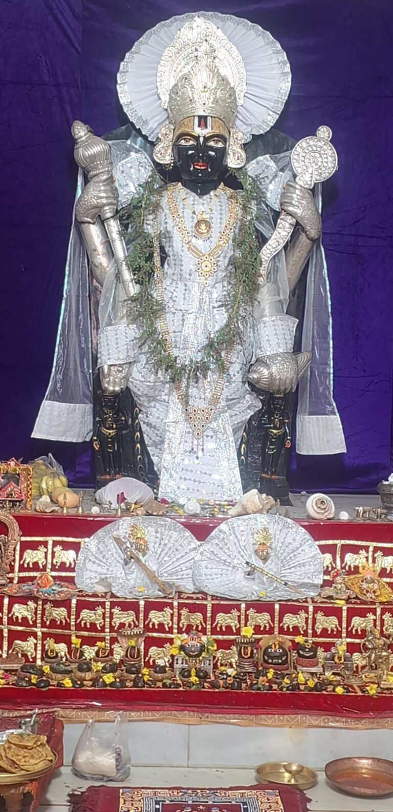 WhatsApp Image 2026-06-15 at 7.27.45 PM
