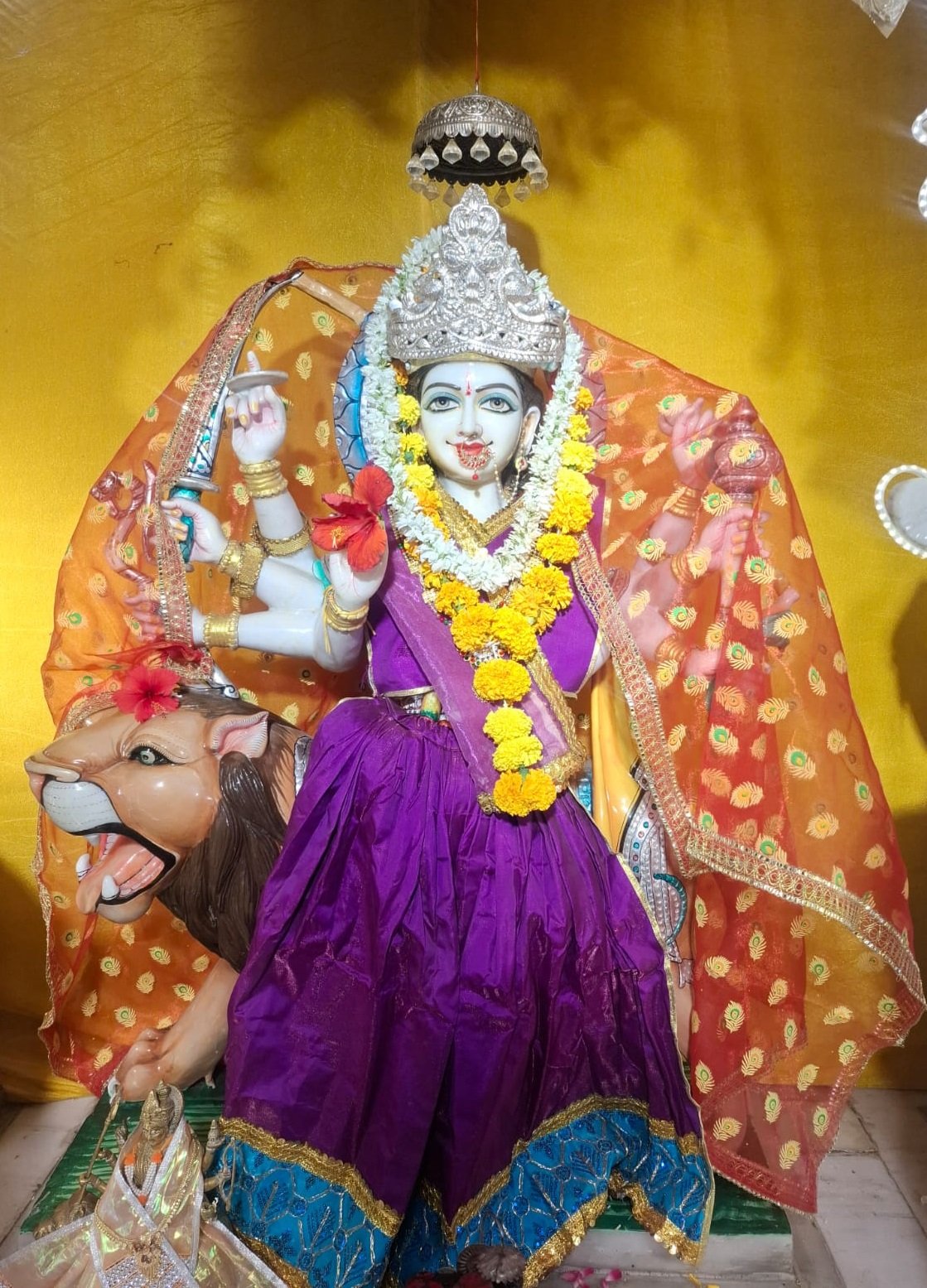 WhatsApp Image 2026-10-12 at 6.56.22 PM (1)